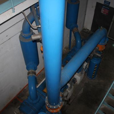 Img 0495