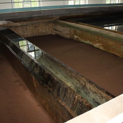 Img 0505