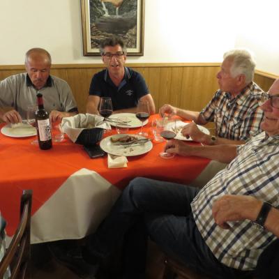 Img 7596