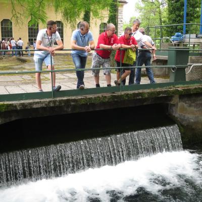 Img 7685