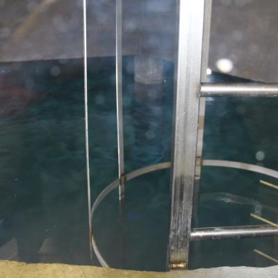 Img 0507