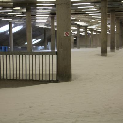 Img 0511