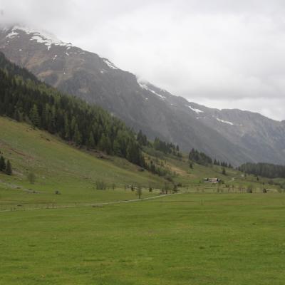 Img 0684