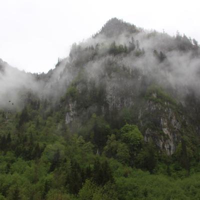 Img 0861